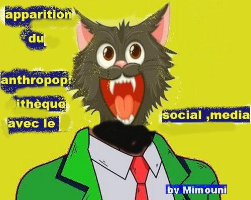 by el mimouni antropopitheque